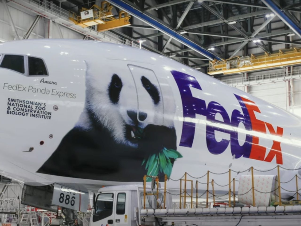 大平面机库贴上FedEx标志 并贴上巨型熊猫相片