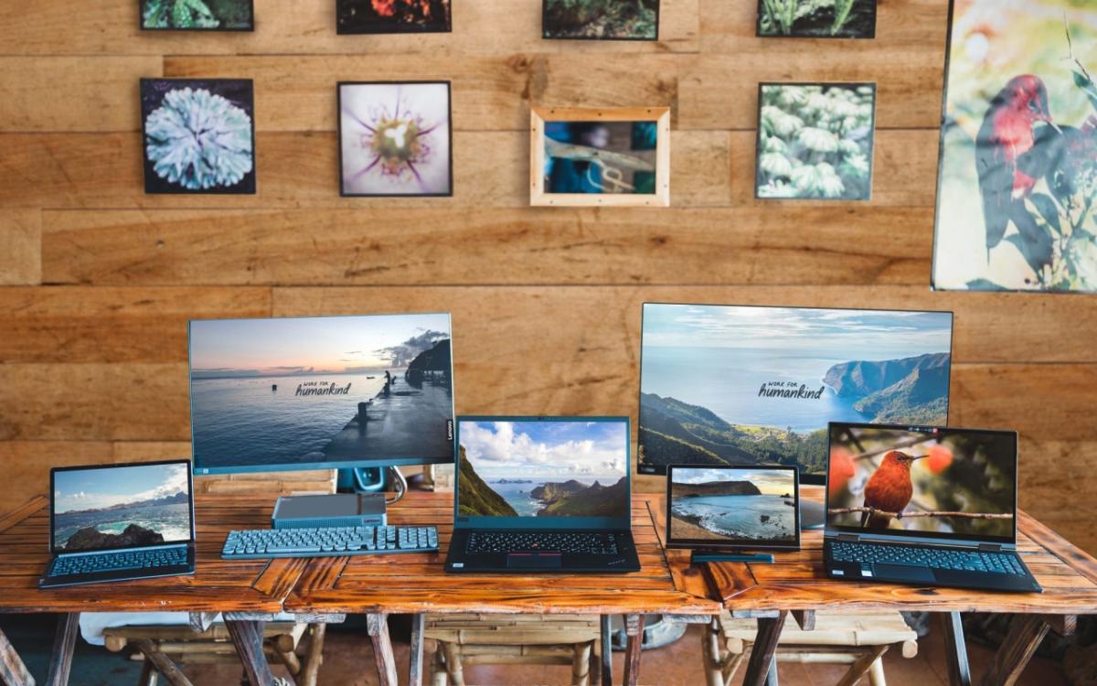 几台显示器和笔记本电脑前墙用木板标注岛野生动物照片